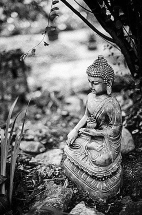buddha-statues