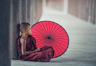 dharma-wheels-monk-with-umbrella