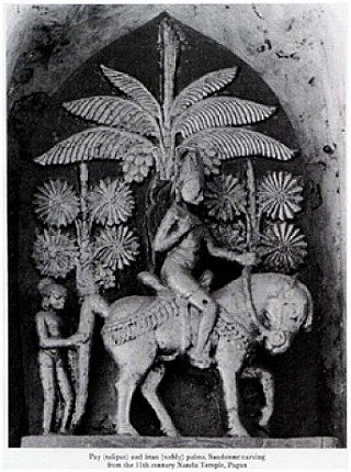 palm-leaf-story