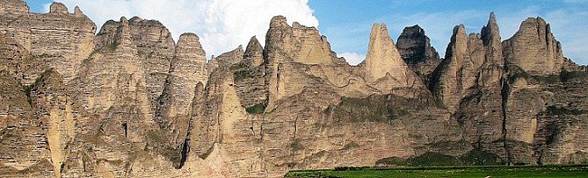 qingning-jia