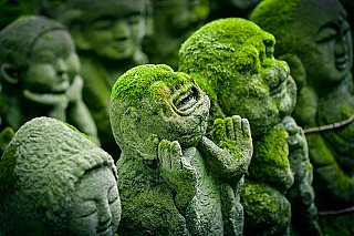 Kyoto Buddha