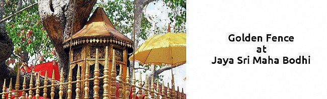 golden-fence-at-golden-temple