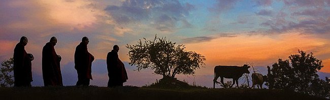 Mingun Sayadaw