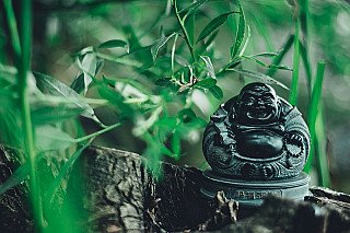 Buddha statues