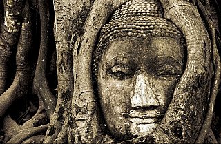 thai-buddha-images