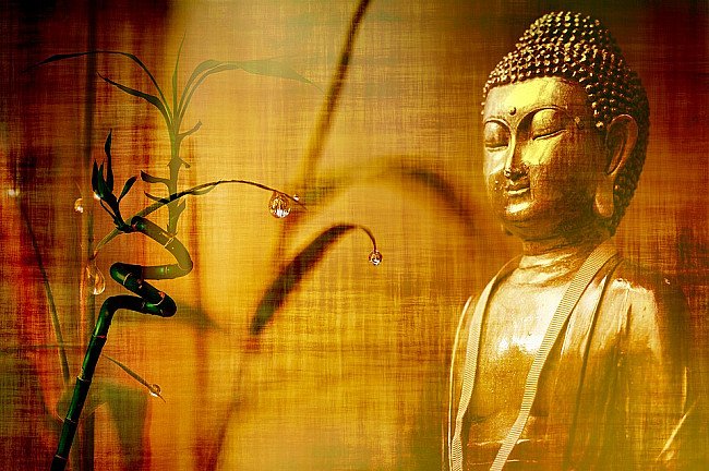 Buddha's Third eye