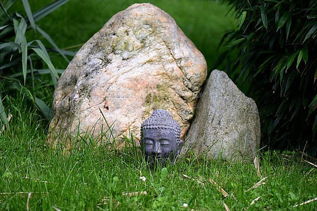 Ears of the Buddha