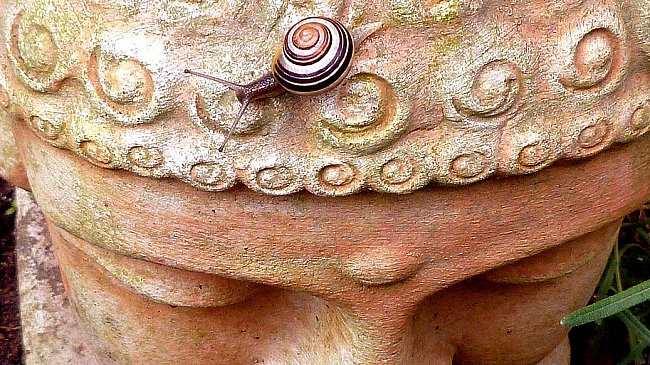 snails on buddha head