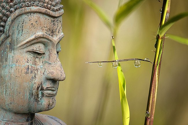 Buddha