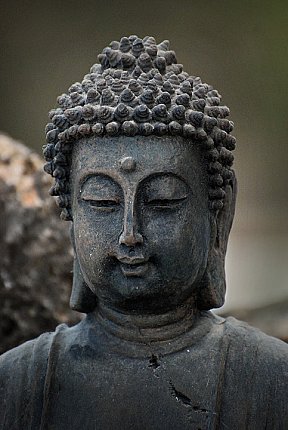 buddha statues