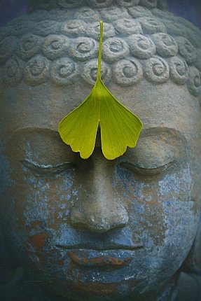 Buddhist in Tibet