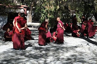 monks in tibetan buddhism