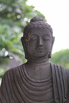 buddha statue