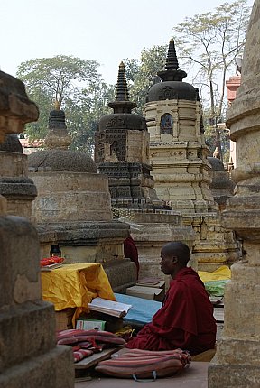monk reading scriptures