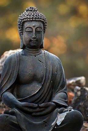 buddha statues