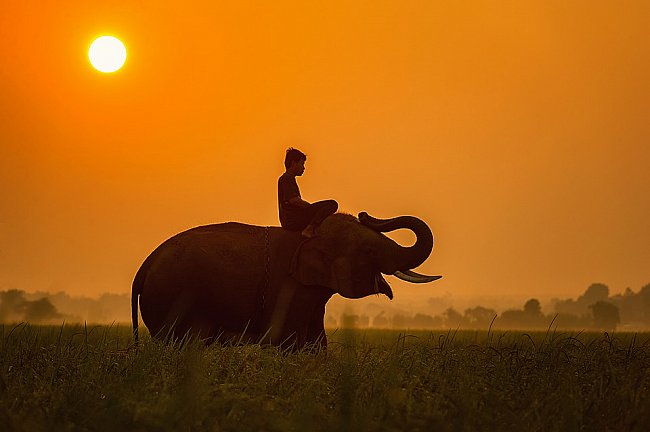 Beauty of Thailand