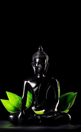 buddha statues