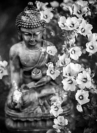 medicine buddha statues