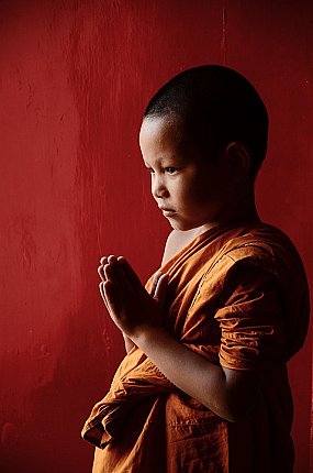 baby monk thailand