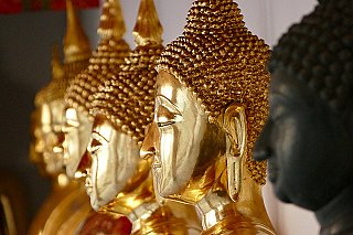 golden buddha