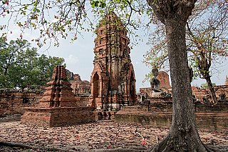 ayutthaya buddha statue