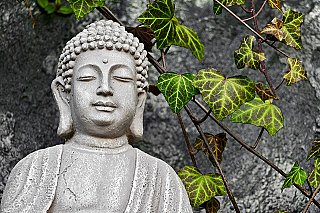 buddha