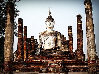 ayutthaya buddha statues
