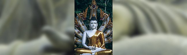 nagarjuna-king-of-nagas