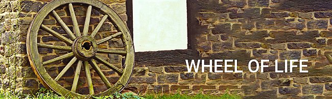 Bhavachakra - The Wheel of Life