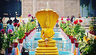 monastary-around-dhamekha-stupa